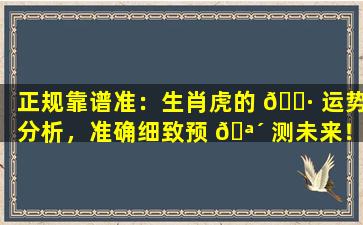 正规靠谱准：生肖虎的 🌷 运势分析，准确细致预 🪴 测未来！